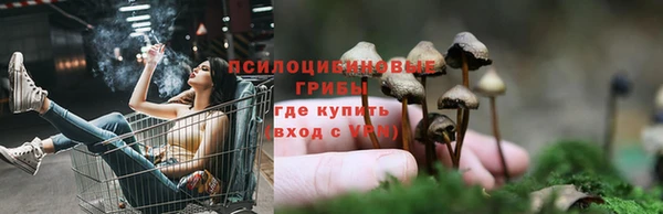 ECSTASY Алексеевка